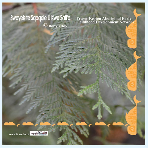 Baby's Day Out Cover 2