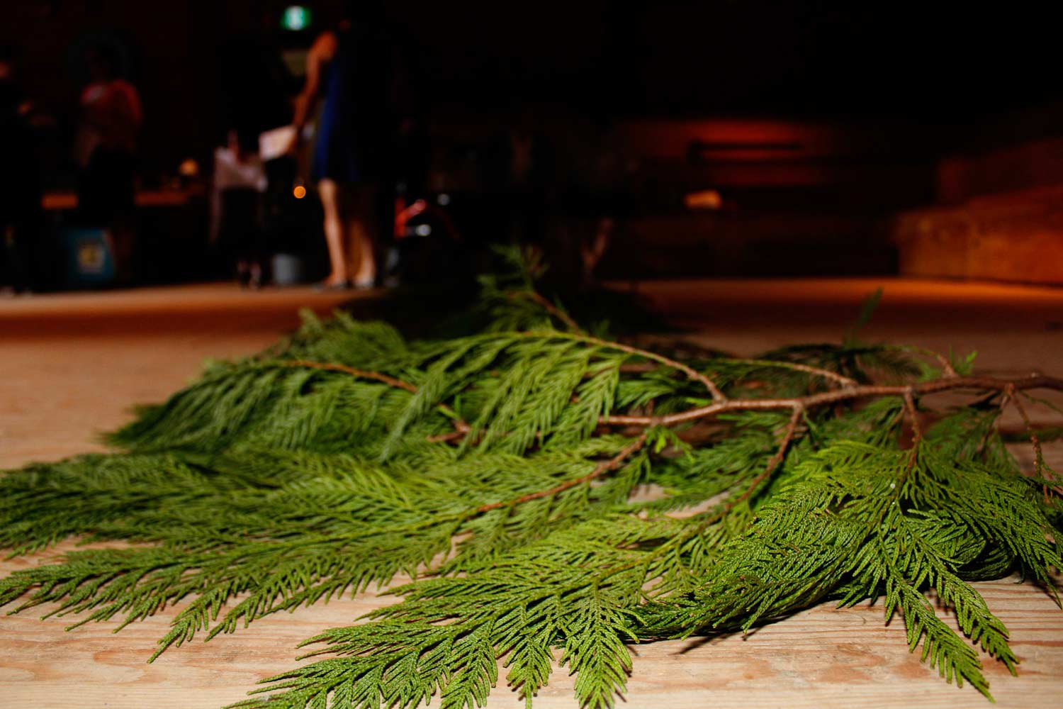 Cedar boughs