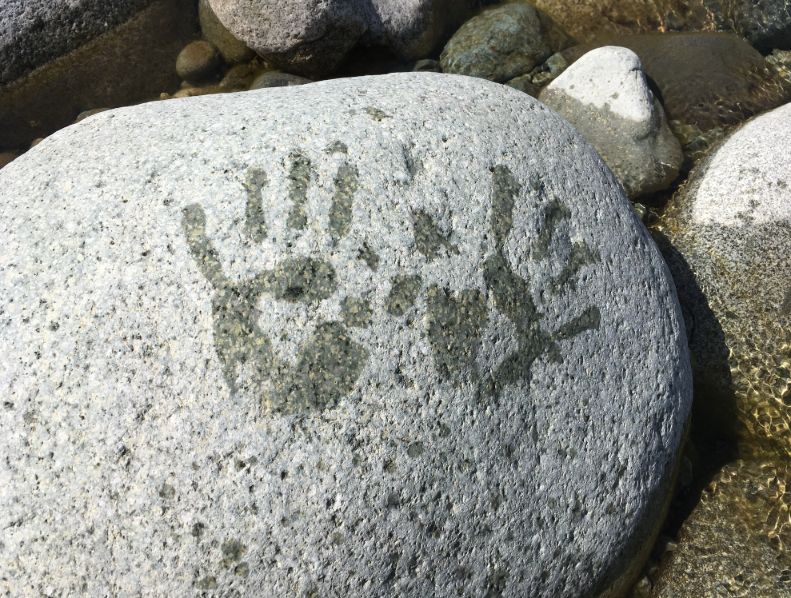 wet handprints on a rock