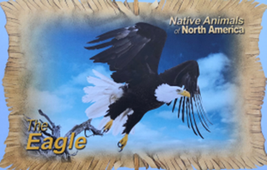 Animal Information 1 (Eagle).png