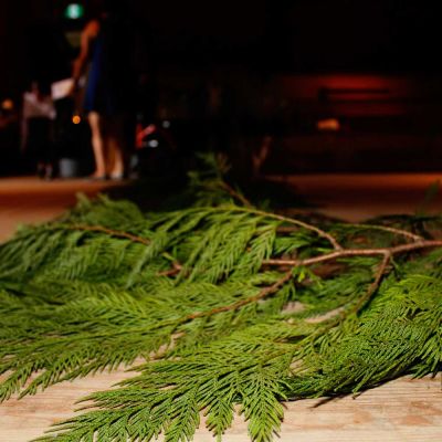 Cedar boughs