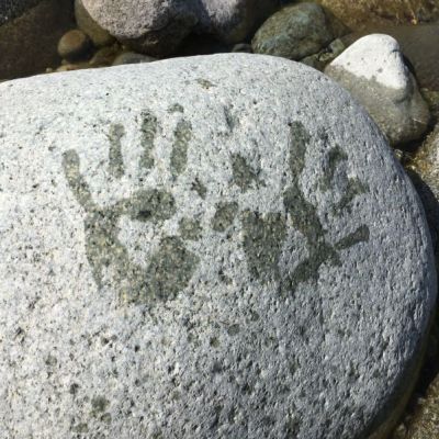 wet handprints on a rock